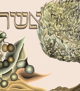 שבט אשר_230220_210045_1